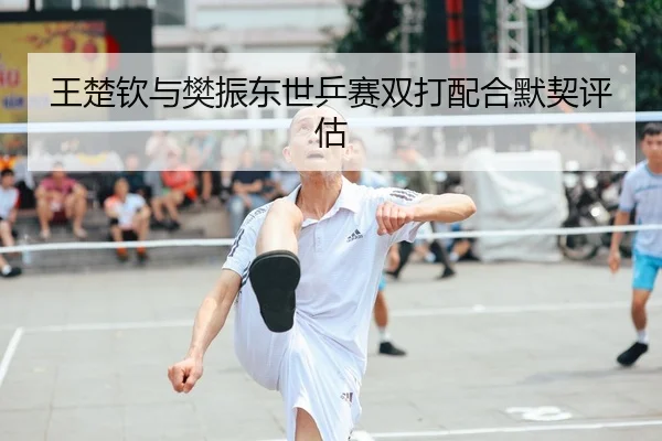 王楚钦与樊振东世乒赛双打配合默契评估